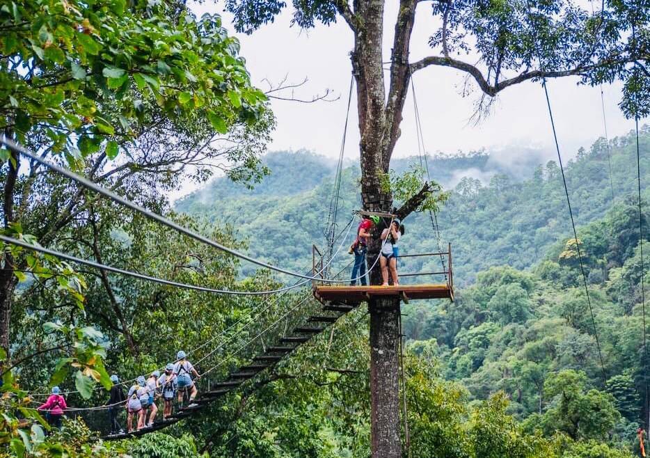 Kingkong Smile Zipline