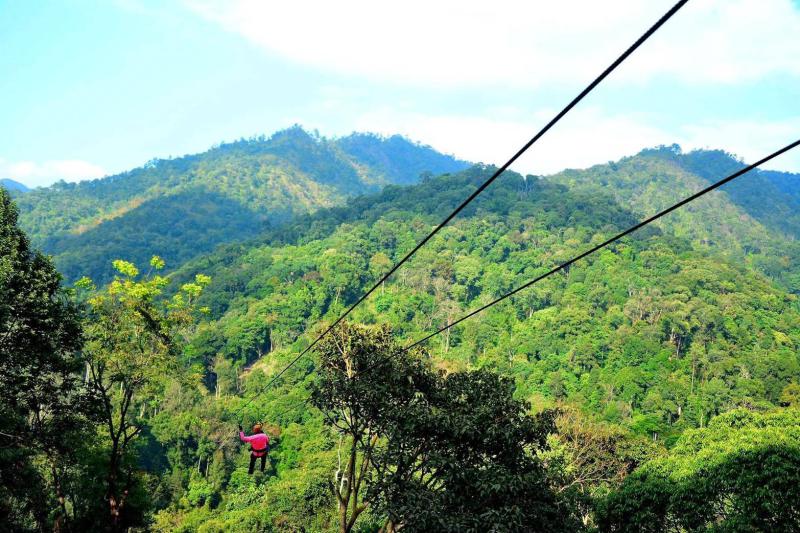 KING KONG SMILE ZIPLINE