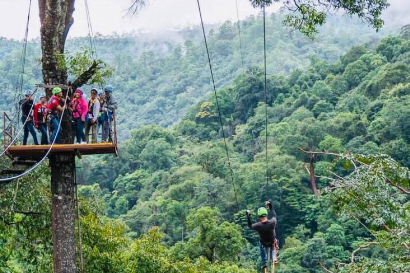 KING KONG SMILE ZIPLINE