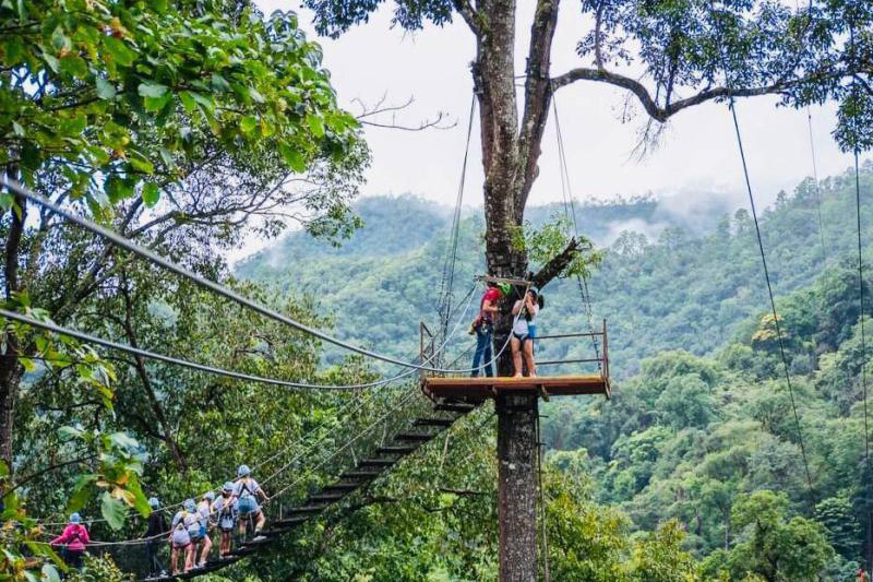 KING KONG SMILE ZIPLINE